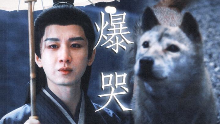 As soon as Da Huang appeared, I burst into tears… She’d been guarding Xie Huai’an’s father’s grave f