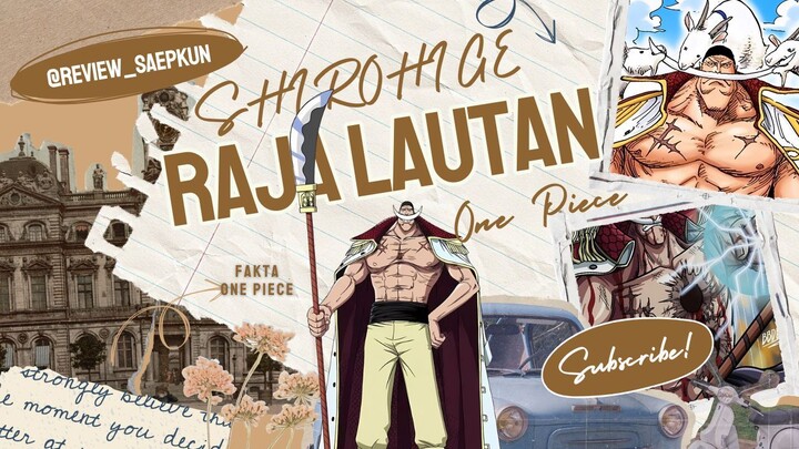LAUTAN AJA TAKLUK SAMA SHIROHIGE | ONE PIECE