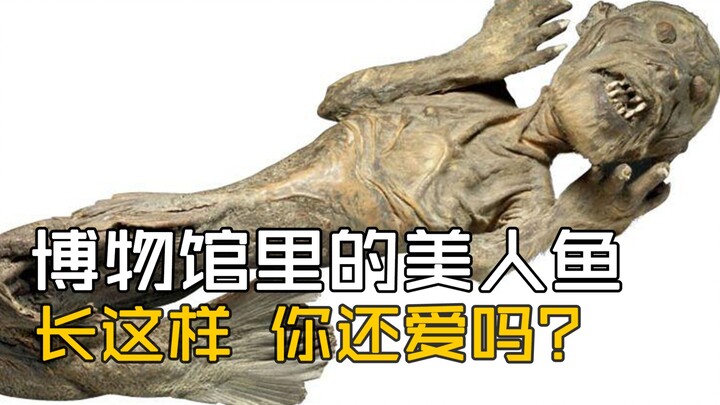 The Mermaid in the Museum: Is She Still as Lovely as This?