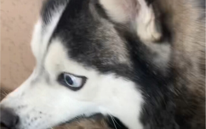 Aku benar-benar takut dia makan kucing itu.