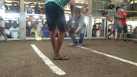 2nd fight WIN, 2 hits champ