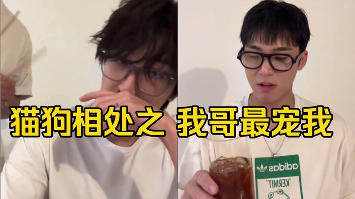 The daily life of cats and dogs living together is all brawling and teasing, but they still keep bri