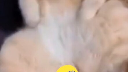 “Công Đức - 1”