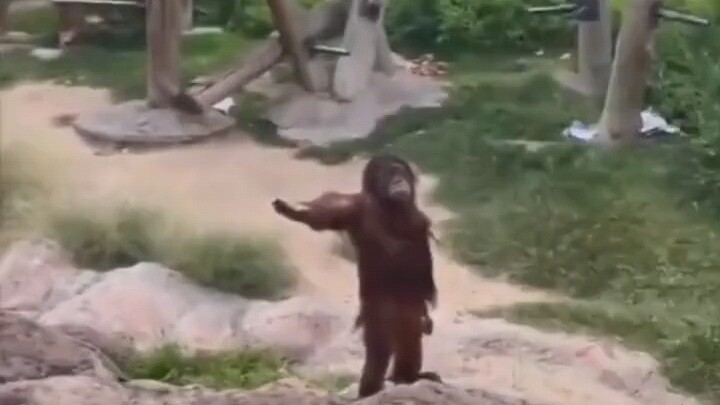 Benar-benar mirip banget sama cara aku minta uang sama orang tuaku.