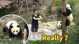 【Panda】Playing Around During Pool Cleaning