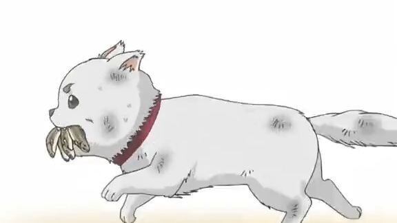Anjing raksasa hampir setinggi 2 meter ini hanya mendapat tiga potong makanan