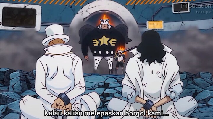 gk expect muka Zoro dn Luffy bkln Kya gtuu