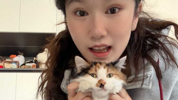 Taking Shanghai Zizhe to get spayed/sterilized!
