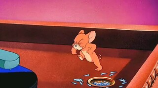 "Strong sarcasm" #Cat and Mouse #Healing #Anime #Tag the person you want to tag