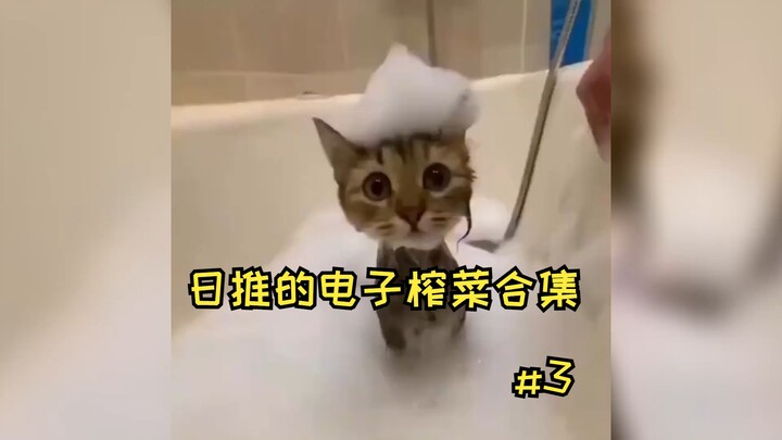 【محتوى جاهز】ملف مجمّع لمقاطع “الخلطة الإلكترونية” التي جُمعت من تويتر الياباني · 3