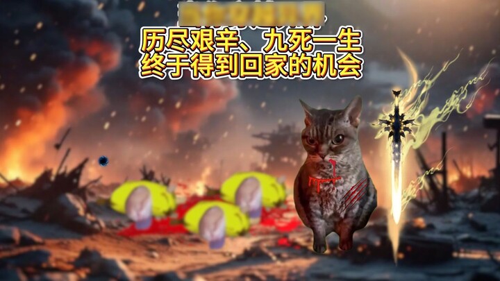 When you finally return home after traveling through another world