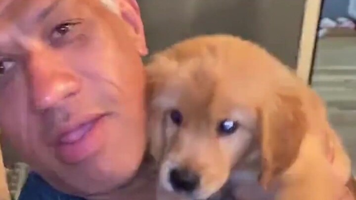 【Totally Crave It】Before vs. After Getting a Dog