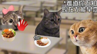 [Cat Meme] Khi cô hiệu trưởng trông còn rất trẻ