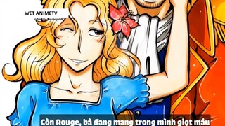 Top 8 Cặp Đôi Được Yêu Thích Trong One Piece #5 4