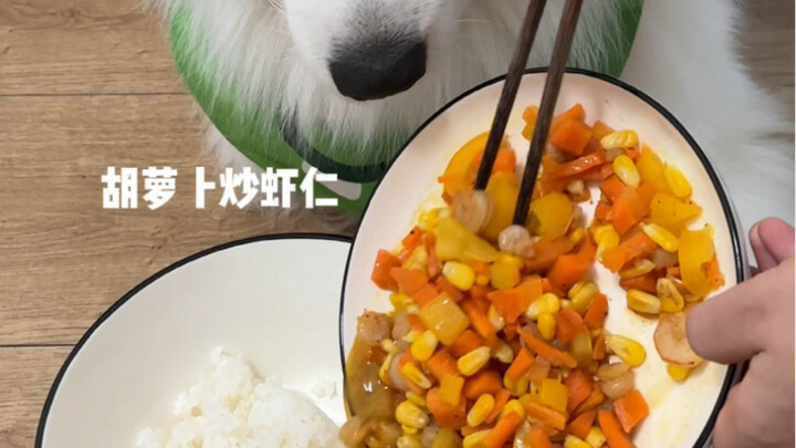 Ever since the puppy started eating regular food, it won’t touch its dog food at all.