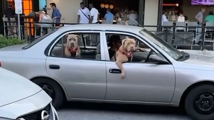 Some people are indeed born to be the protagonists!!