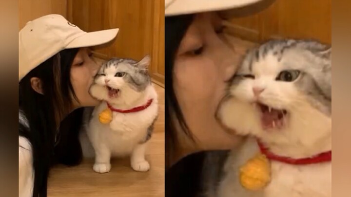 “A Purr-fect Guide to Cat-Lover Cuisine”