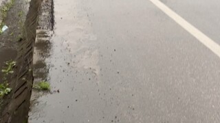 جيد، لم أنتهِ من الكلام حتى رشني سيارة على جانب الطريق بالماء مرة أخرى [tv_دموع] أريد العودة إلى الم