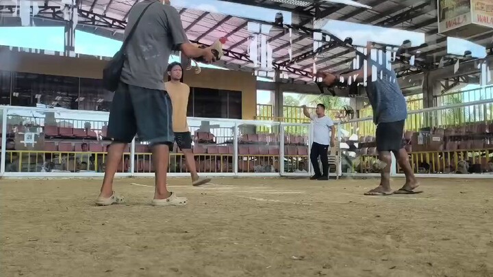 wins (tsamba lang)