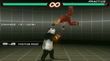 Tekken 6 Kuma And Panda New Moves