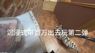 Hari ini aku diintip oleh para bibi yang sedang makan bersama.