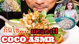 ASMR:Red Ant Eggs (EATING SOUNDS)|COCO SAMUI ASMR #กินโชว์ไข่มดแดง