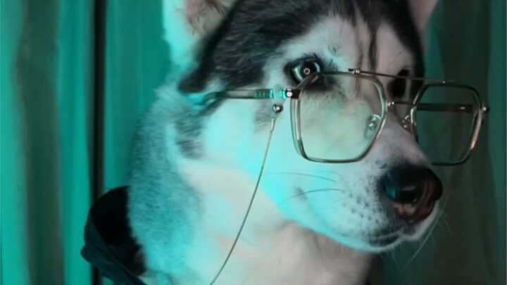 如果有孩子了一定要告诉我