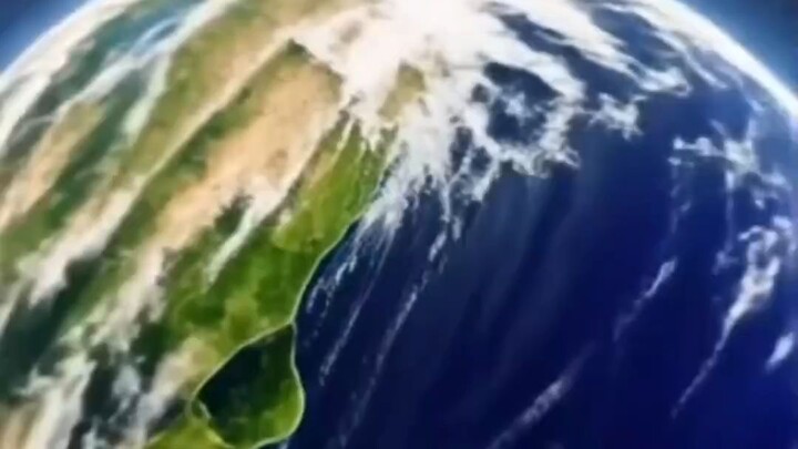 Lynx Spider 🕷️ – Prey & Predators