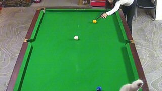 眼里没有对球技的渴望，只有对溜猫的向往