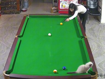 眼里没有对球技的渴望，只有对溜猫的向往