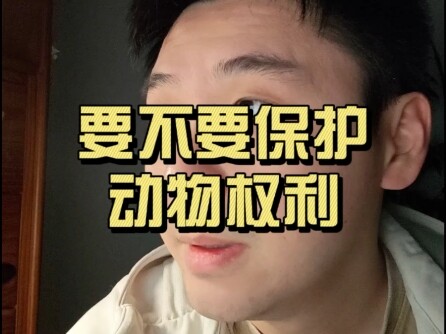 Có nên bảo vệ quyền lợi động vật không?
