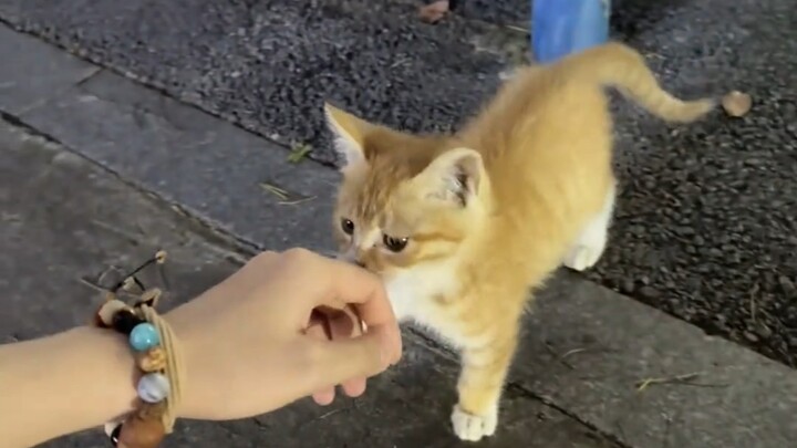 เธออยากกลับบ้านกับฉันจริงๆ นะ