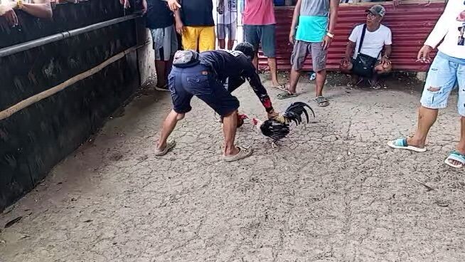 9mos old 2x winner na