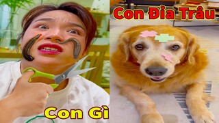 Thú Cưng TV | Gâu Đần và Bà Mẹ #54 | Chó Golden Gâu Đần thông minh vui nhộn | Pets cute smart dog