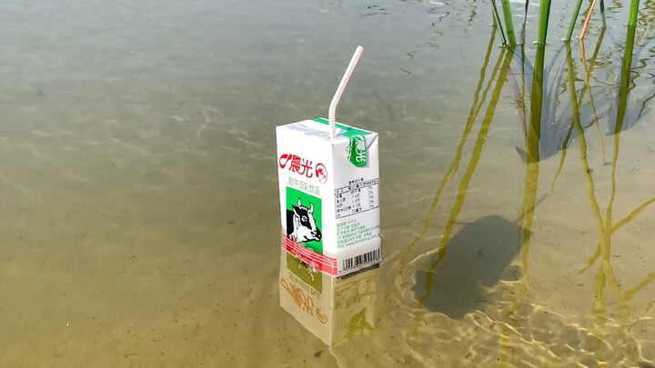 Milk carton boat