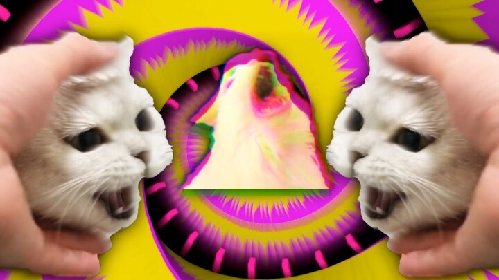 ⚡⚡Electric Meow⚡⚡
