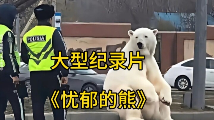 大型纪录片《忧郁的熊》