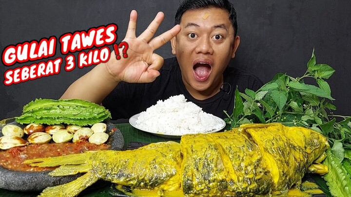 MUKBANG MAKAN GULAI IKAN TAWES 3 KILO ⁉️ + SAMBEL TERASI LALAPAN MENTAH