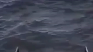 哥们是真的敬业