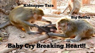 Breaking News!!, Breaking Heart Kidnapper Tara Kidnapped Baby Monkey Bailee Cry Break Heart