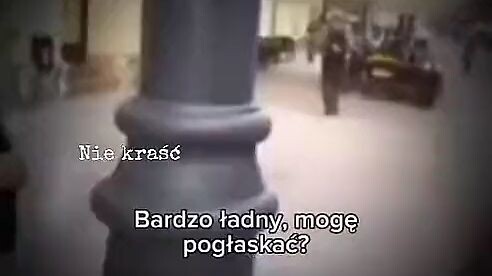 XD