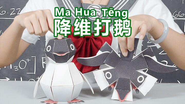 [Jangan pernah memutar] Video langka tentang manusia yang menjinakkan penguin Shenzhen di masa-masa 