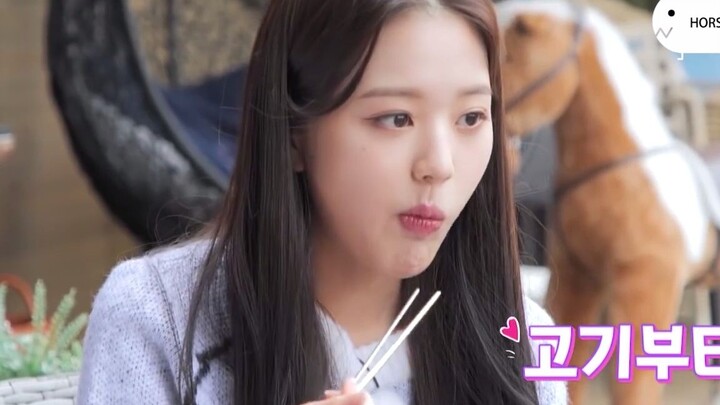 Fan của Trương Nguyên Anh đều do gió thổi đến à?