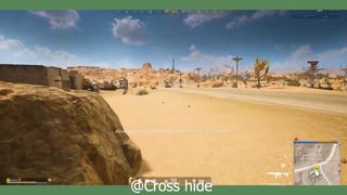 Quẩy khắp sa mạc #game