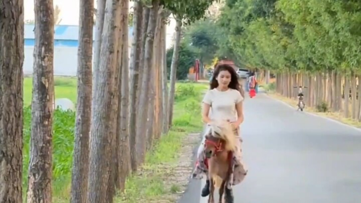 “一抖一抖比字节跳动还有节奏”  女生在路上骑着小马驹，压的小马都不走直线了