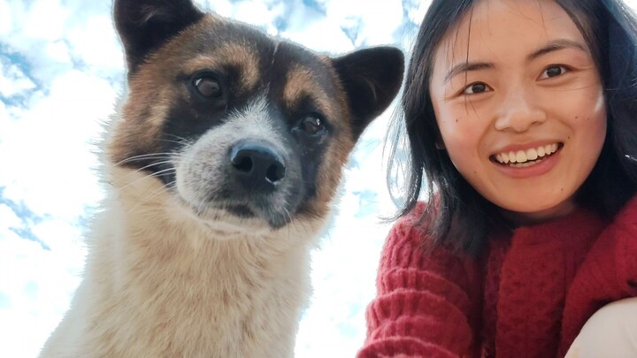 5 minutes to make you envy this dog...