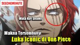Luka Iconic di One Piece Memiliki Arti!?|| One piece