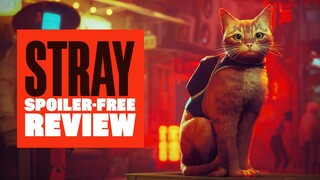 Stray PS5 Spoiler Free Review - STRAY PS5 GAMEPLAY