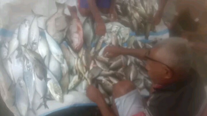 Pulang Mancing di Kampung Rirui (Wondama)