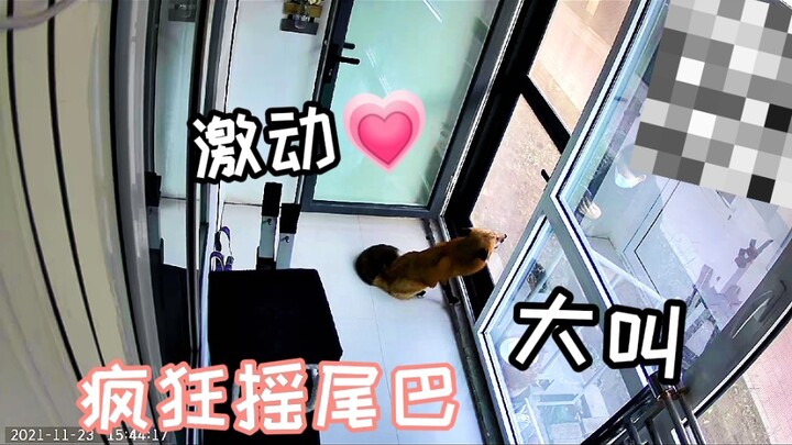 Gak nyangka si rubah kecil Mo Li ternyata begitu peduli sama aku… Aku baper banget nih!